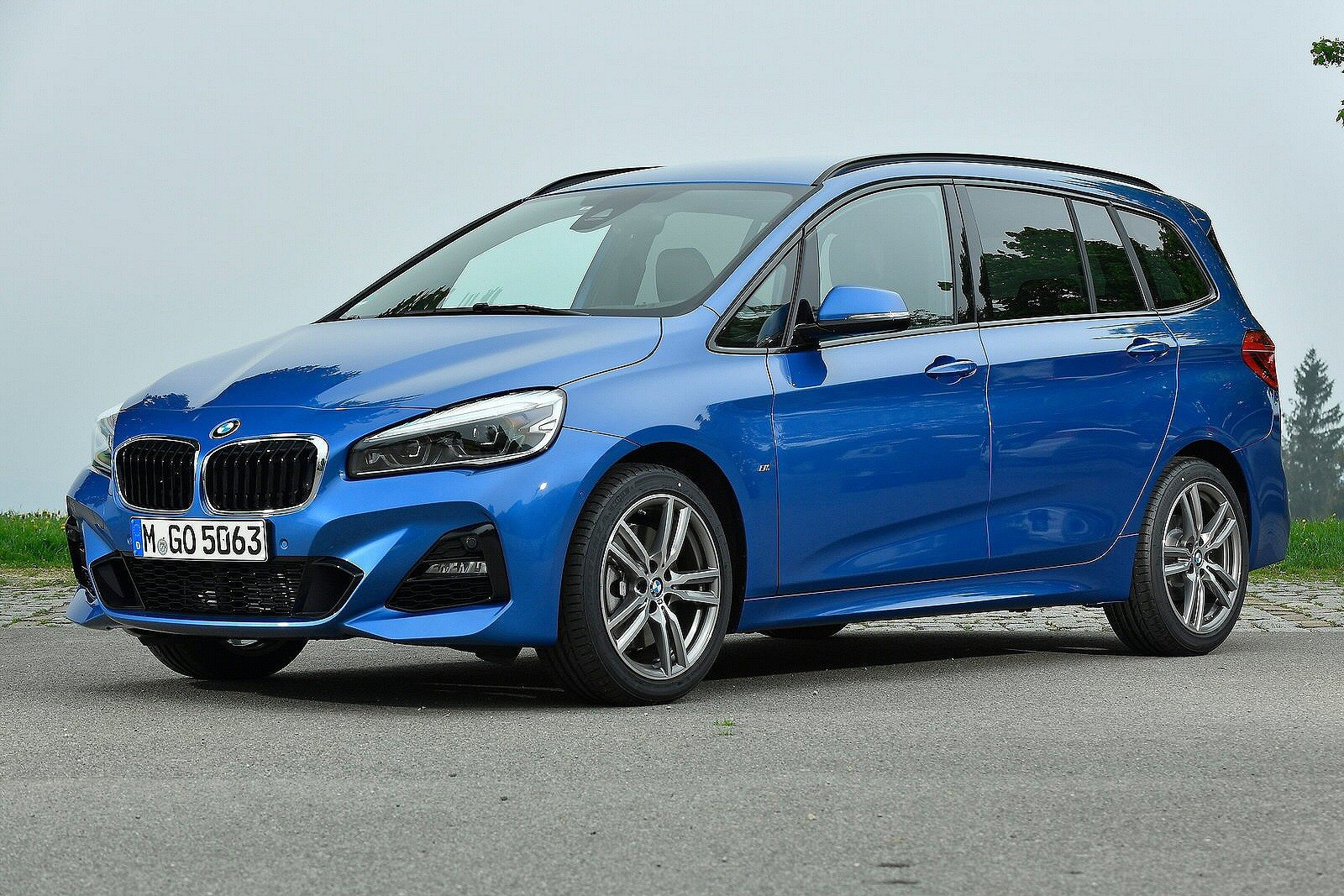 Used BMW 2-Series Gran Tourer [F46] (2015 - 2021) + Guide - Image 1